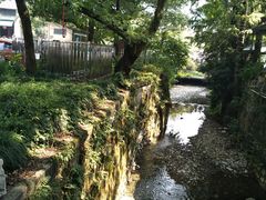 -欣怡茶庄·始于1999(梅家坞店)