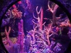 -沈阳海洋探索中心