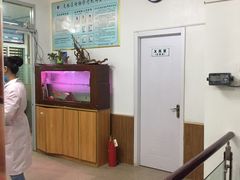 -瑞派雷欧宠物医院·24h夜诊·心脏骨科牙科·全科重症转诊中心(无影山店)