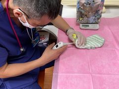 -北京观赏动物医院·24小时大型综合·猫专科·异宠专科