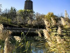 -玲珑塔公园