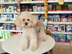 -我爱吾宠宠物美容院(朝阳路店)