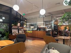 -Wagas沃歌斯(枫蓝国际店)