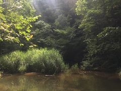 -洛阳白云山景区