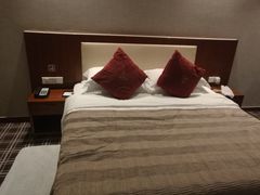 -苏州西交利物浦大学国际会议中心