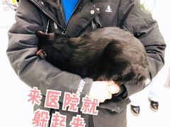 -悦宠动物医院(京丰分院)