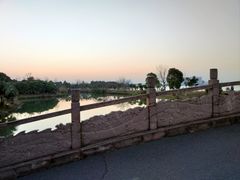 -瑶湖郊野森林公园