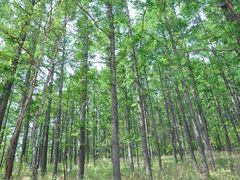 -白草畔自然风景区