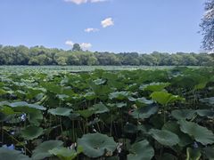 -长春市南湖公园