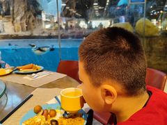 -帝企鹅自助餐厅•儿童岛•真企鹅(长隆企鹅酒店)