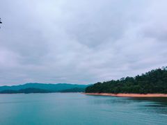 -广州市流溪河国家森林公园