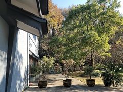 -陶祖圣境风景区