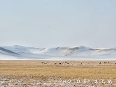 -塞罕坝国家级自然保护区