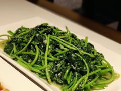 腐乳炒红薯叶-桂林肥仔·中华餐饮名店(园湖店)