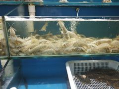 -港畔赶海蒸汽海鲜烧烤自助(仙螺岛店)