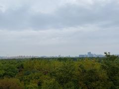 -贡湖湾湿地公园