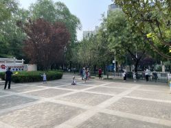 -酷酷兔少儿拓展天地