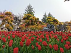 -上海鲜花港