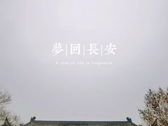 -西安碑林博物馆