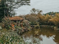 -深圳隐秀山居酒店