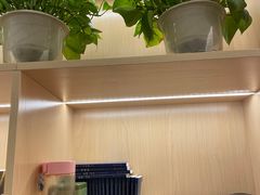 -智慧盲人按摩艾灸-颈肩腰膝疼痛调理(浦东店)