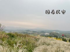 -密云玫瑰情园