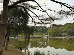 -东莞植物园