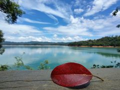 -广州市流溪河国家森林公园