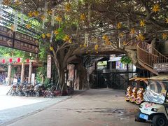 -长鹿旅游休博园