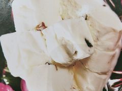 哈尔滨葡萄干冰糕-东京爱上大连(中央大道店)