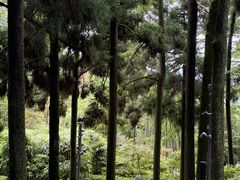 -莫干山风景区