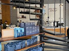 -Torch Coffee 炬点咖啡