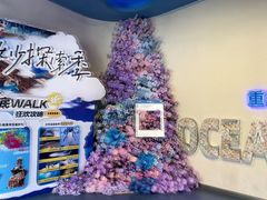 -重庆欢乐海底世界