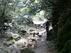 -祁门牯牛降观音堂风景区