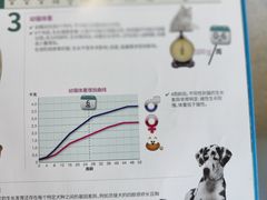 -丹景宠物医院·全科·老年病·牙科(武昌诊疗中心)