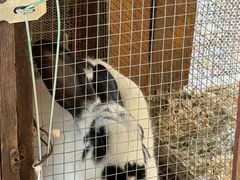 -HERRE·FARM 赫尔露营农场·团建聚会包场