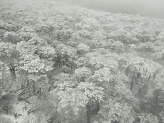-苍山感通索道
