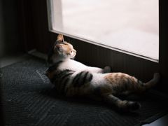 -Again Coffee Roaster(香蜜湖店)