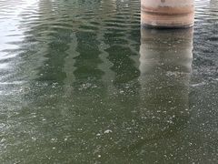 -丁香湖公园