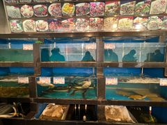 -华盛丰温州大排档(东三环南路店)