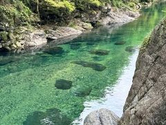 -石台牯牛降景区