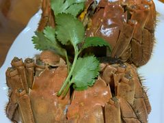 -呼吸森林·生态农庄农家乐私房菜