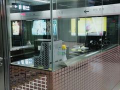 -园博园(地铁站)