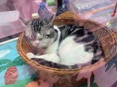 -丽达购物中心(崂山店)