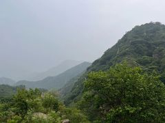 -大岭沟猕猴桃谷风景区