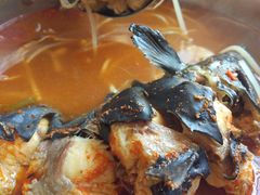 -弘烨 贵州酸汤 鱼火锅(东财店)