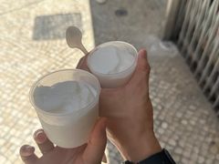 -洪馨椰子
