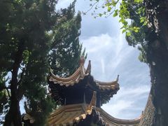 -嘉定紫藤园