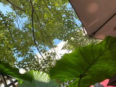 -榖屋house of flour(张江首店)