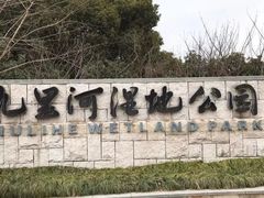 -九里河湿地公园